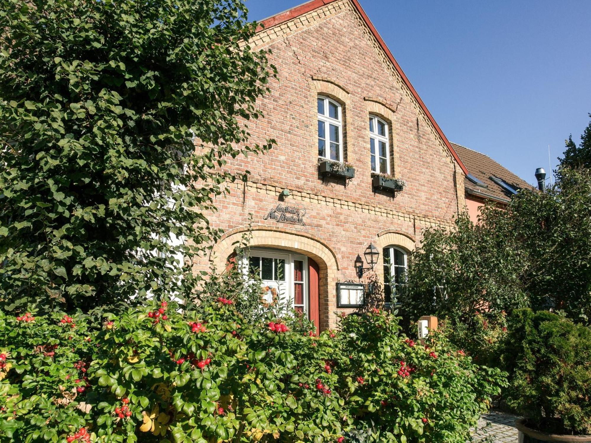 Landhaus Alte Schmiede Niemegk  Bagian luar foto